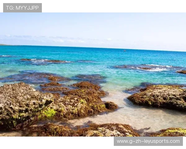 冲浪女将坐在板上晒太阳被捕捉成封面