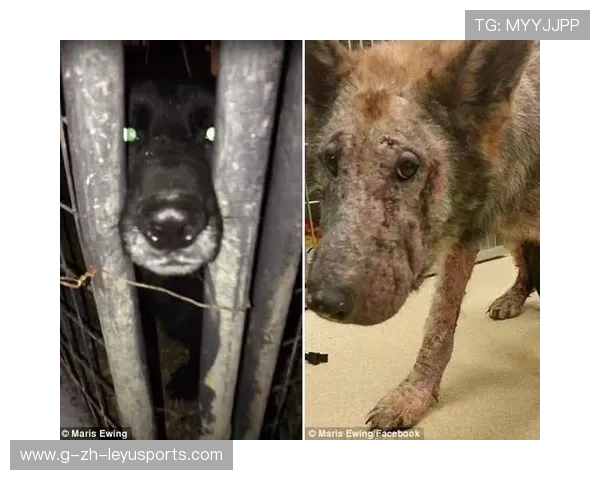 切尔西门前的滚动攻击最终换来结果